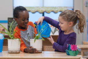 Hands-On Activities to Teach Your Preschooler About the Environment